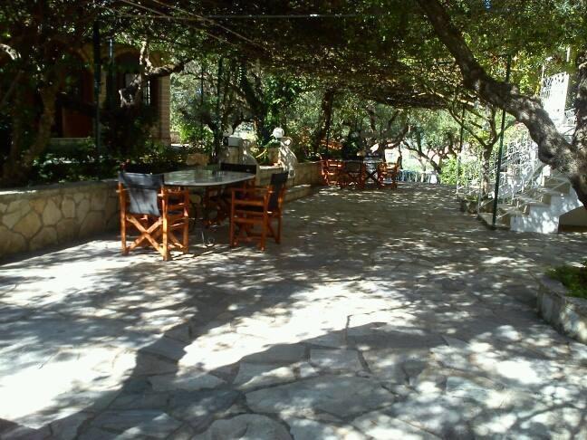 Sofos Apartments Tsilivi (Zakynthos) Quarto foto