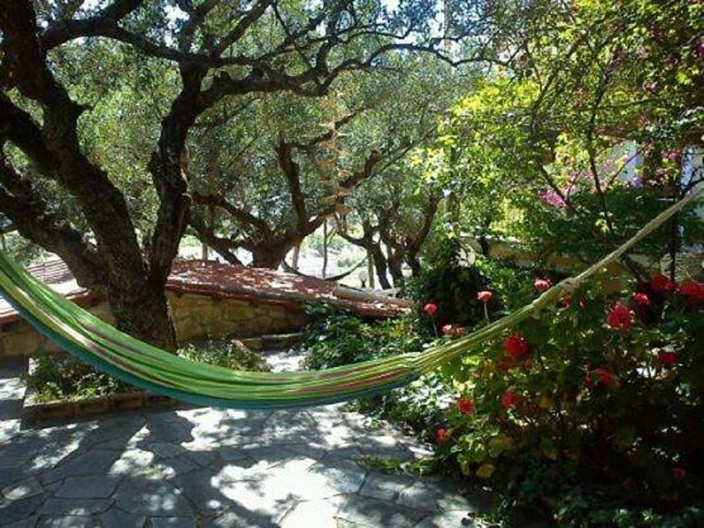 Sofos Apartments Tsilivi (Zakynthos) Quarto foto