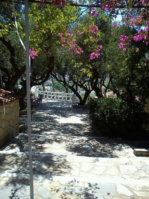 Sofos Apartments Tsilivi (Zakynthos) Quarto foto
