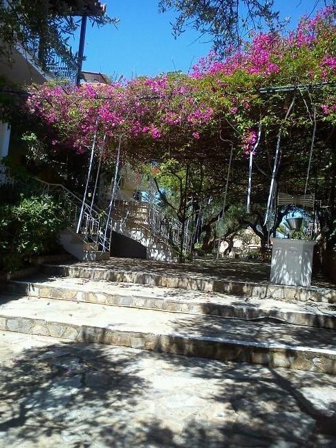 Sofos Apartments Tsilivi (Zakynthos) Quarto foto