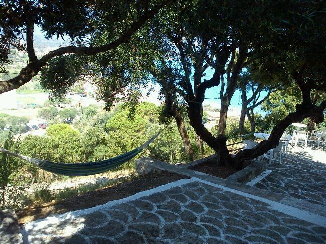 Sofos Apartments Tsilivi (Zakynthos) Quarto foto